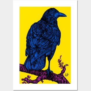 RAVEN .2 Posters and Art